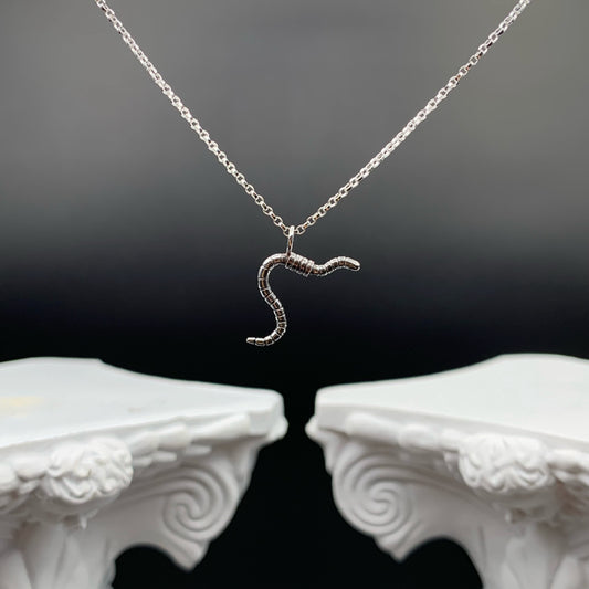 Silver Worm Necklace